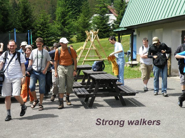 strong walkers